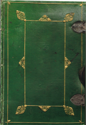 Green cover of rent book
